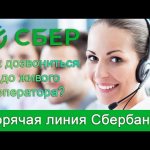 How to call Sberbank and get through to a live operator? Sberbank hotline 
