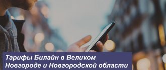 Description of new Beeline tariff plans in Veliky Novgorod and the Novgorod region for phones, tablets and modems