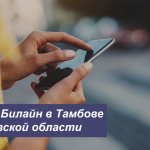 Описание новых тарифов Билайн в Тамбове и Тамбовской области для телефона, планшета и ноутбука